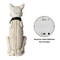 Set of 2 20.50''H Ligted Halloween Lighted MGO Skeleton Dog Porch Decor with Timer